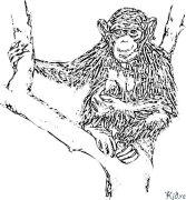 චිම්පන්සියයි මුද්‍රණය කළ හැකි වර්ණ පිටු